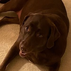 Meet your Posher, Lillian